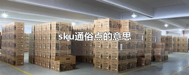 sku通俗点的意思