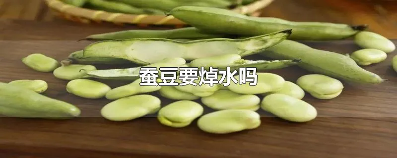 蚕豆要焯水吗