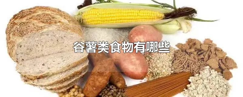 谷薯类食物有哪些