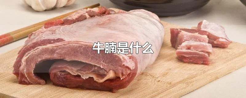 牛腩是什么