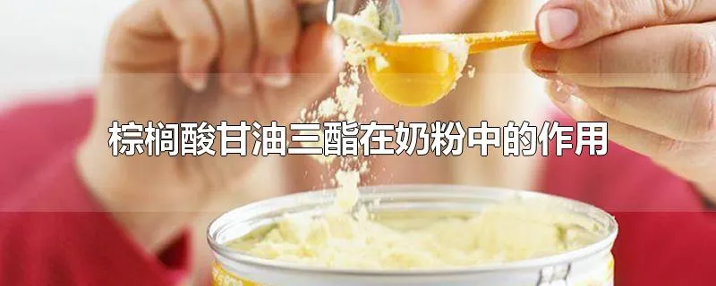 棕榈酸甘油三酯在奶粉中的作用