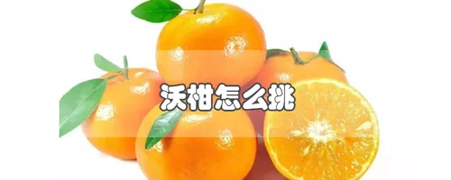 沃柑怎么挑