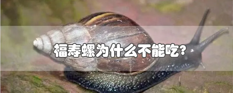 福寿螺为什么不能吃?