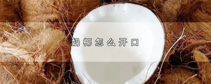 奶椰怎么开口