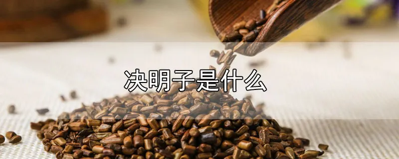 决明子是什么