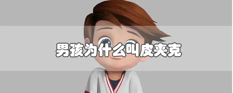 男孩为什么叫皮夹克