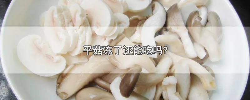 平菇冻了还能吃吗?