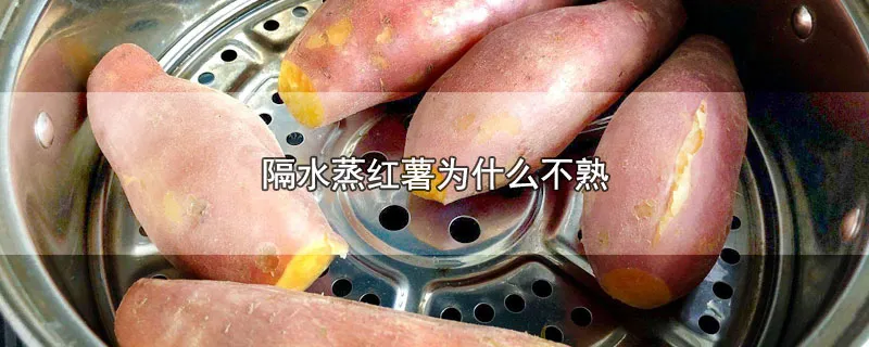 隔水蒸红薯为什么不熟