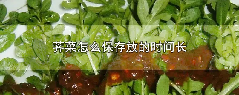 荠菜怎么保存放的时间长