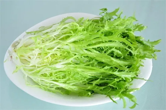 野菜的品种多样化