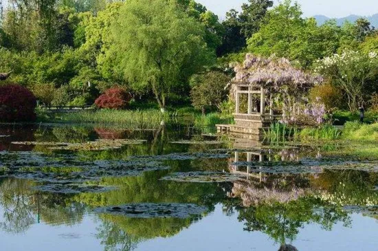 杭州花圃3月有什么花