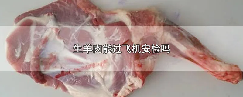 生羊肉能过飞机安检吗