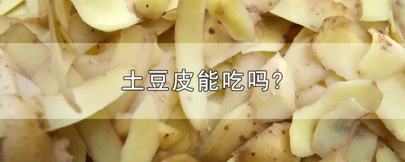 土豆皮能吃吗?