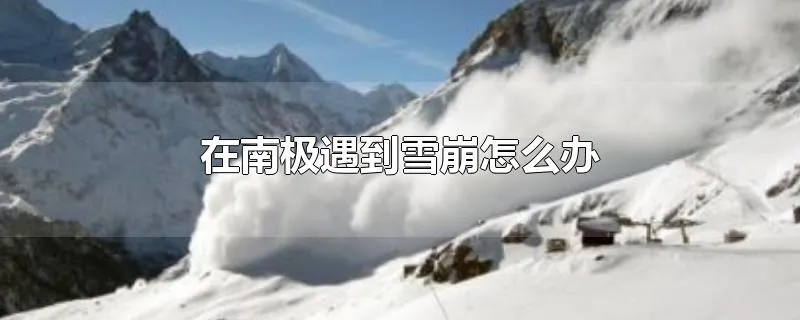 在南极遇到雪崩怎么办