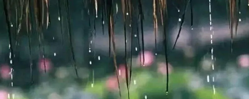 梅雨天什么时间