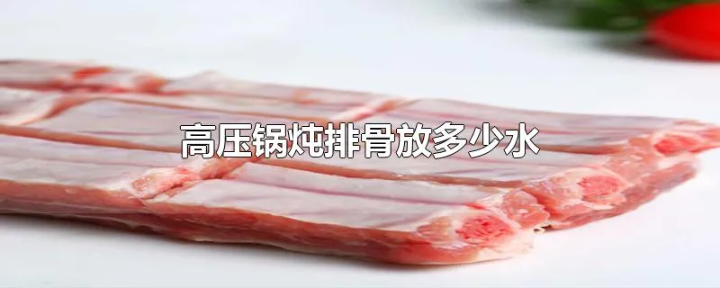 高压锅炖排骨放多少水