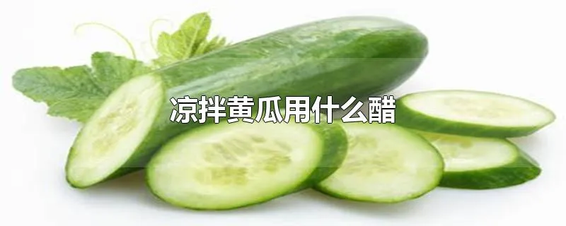 凉拌黄瓜用什么醋