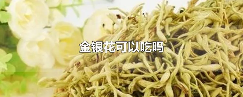 金银花可以吃吗