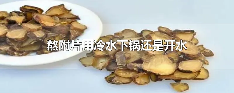 熬附片用冷水下锅还是开水