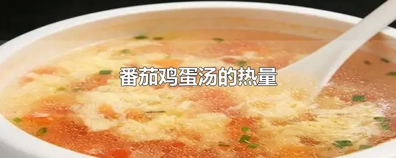 番茄鸡蛋汤的热量