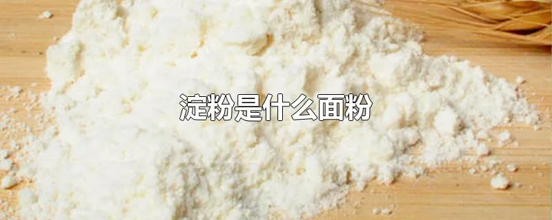 淀粉是什么面粉