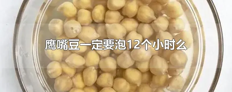 鹰嘴豆一定要泡12个小时么