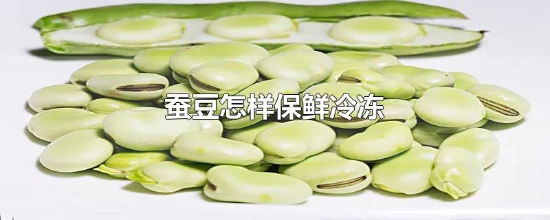 蚕豆怎样保鲜冷冻