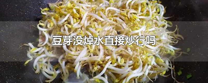 豆芽没焯水直接炒行吗