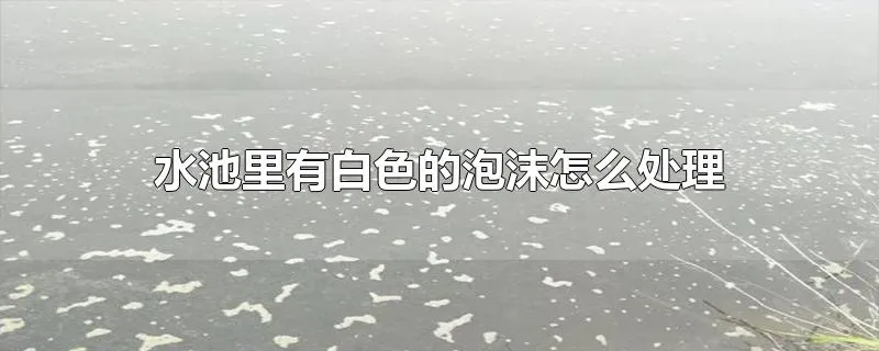 水池里有白色的泡沫怎么处理