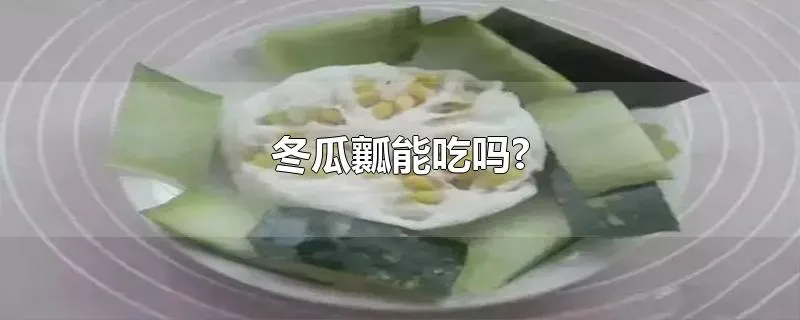 冬瓜瓤能吃吗?