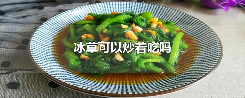 冰草可以炒着吃吗