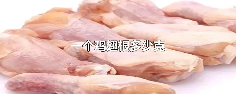 一个鸡翅根多少克