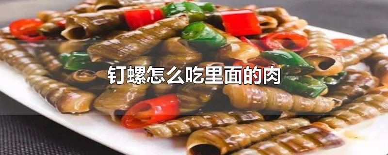 钉螺怎么吃里面的肉