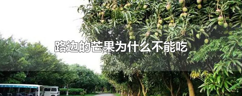 路边的芒果为什么不能吃