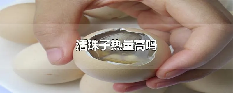 活珠子热量高吗