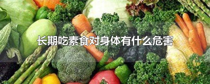 长期吃素食对身体有什么危害