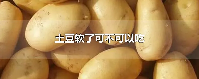 土豆软了可不可以吃