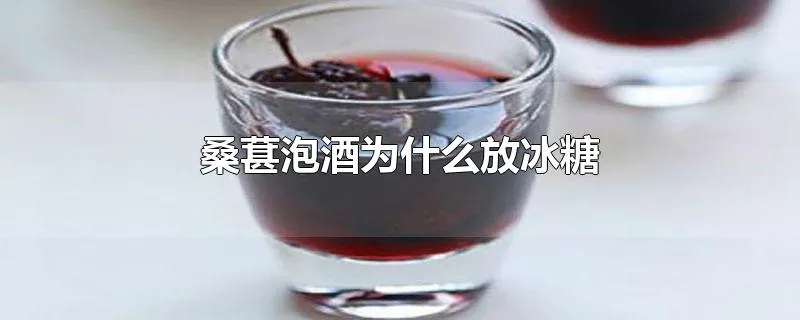 桑葚泡酒为什么放冰糖