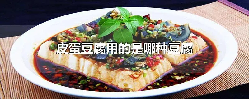 皮蛋豆腐用的是哪种豆腐