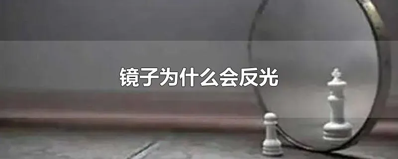 镜子为什么会反光