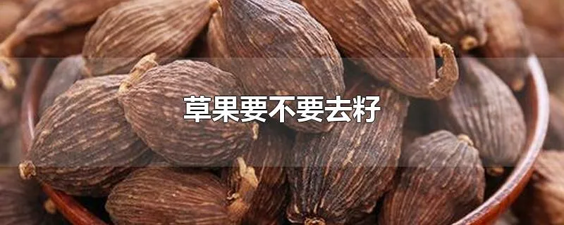 草果要不要去籽