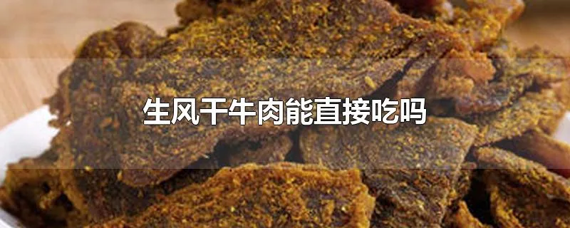 生风干牛肉能直接吃吗