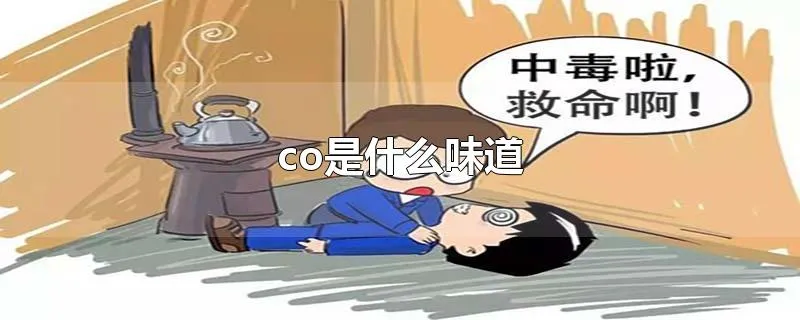 co是什么味道