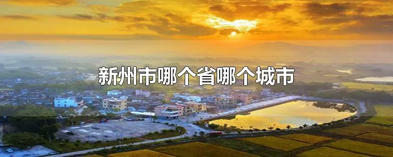 新州市哪个省哪个城市