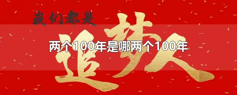 两个100年是哪两个100年