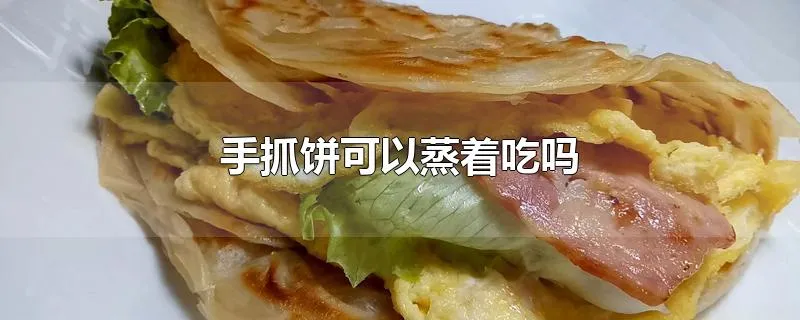 手抓饼可以蒸着吃吗