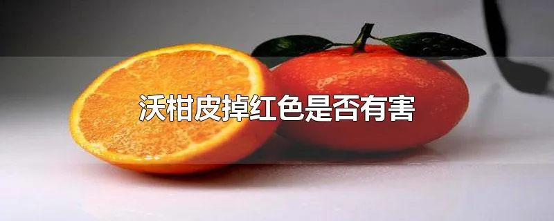 沃柑皮掉红色是否有害