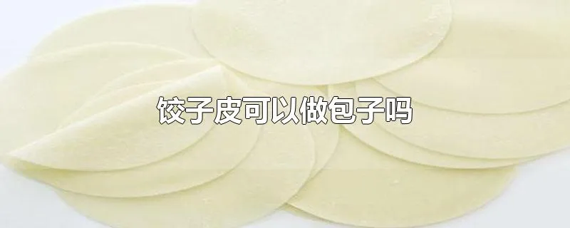 饺子皮可以做包子吗