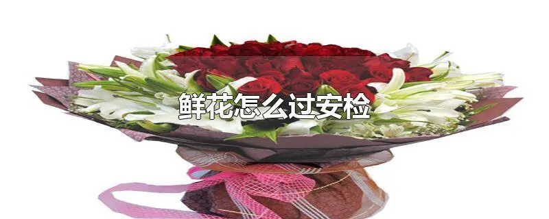 鲜花怎么过安检