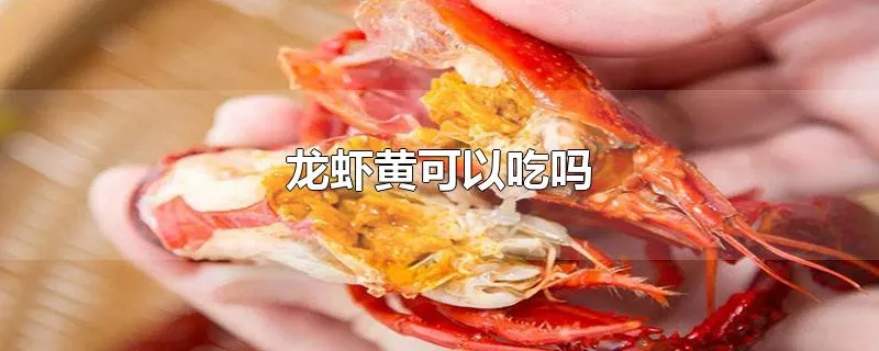 龙虾黄可以吃吗